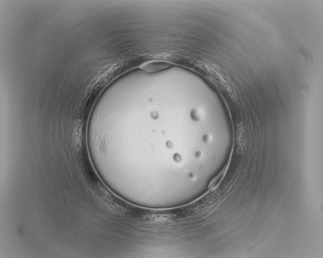 X0000116430495200912221508