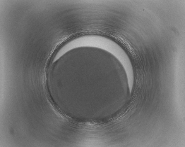 X0000116430496200912221508