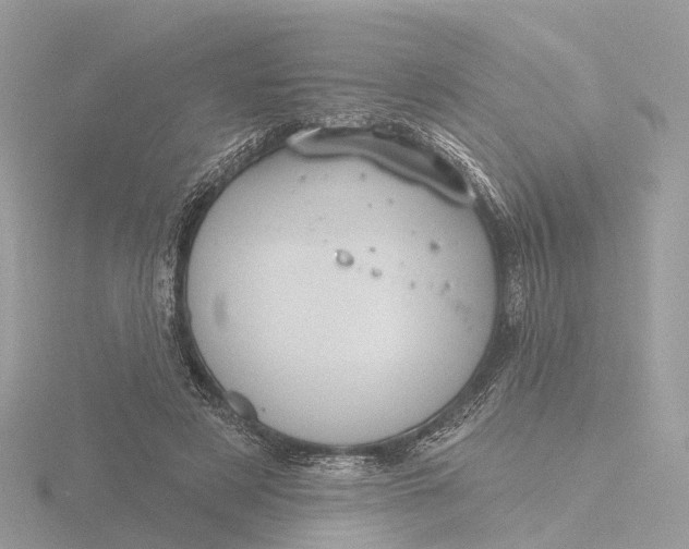 X0000116430497200912221508