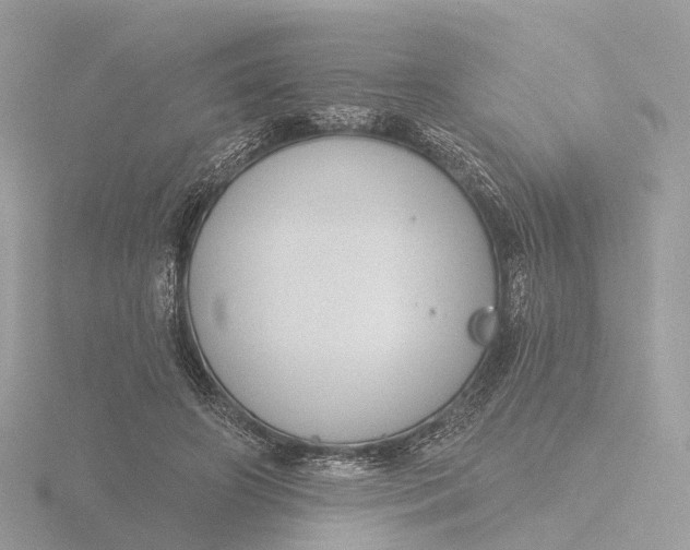 X0000116430498200912221508