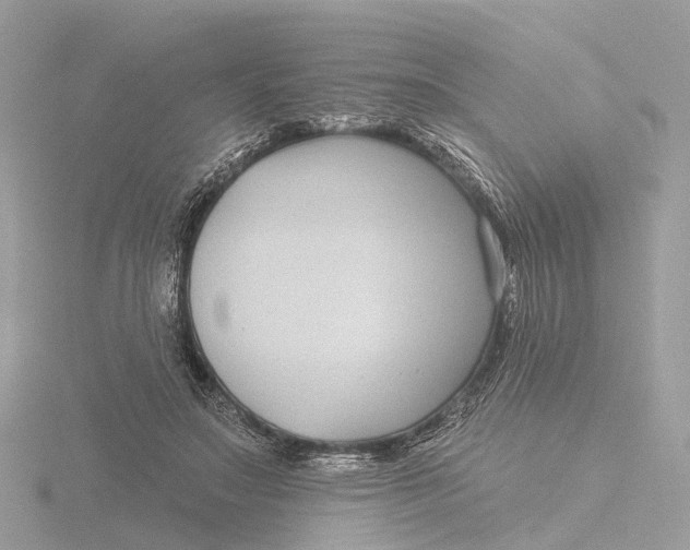 X0000116430499200912221508