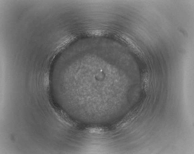 X0000116430500200912221508