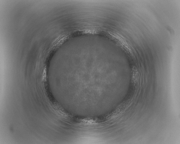 X0000116430502200912221508