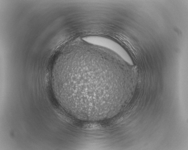 X0000116430503200912221508