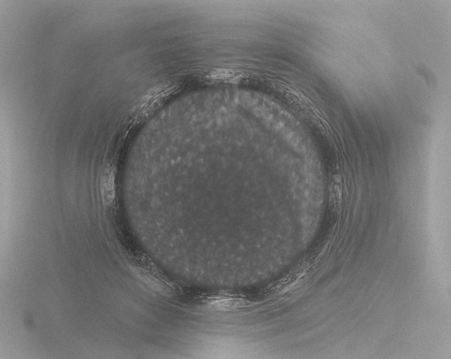 X0000116430504200912221508