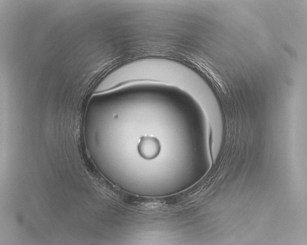 X0000116430505200912221507