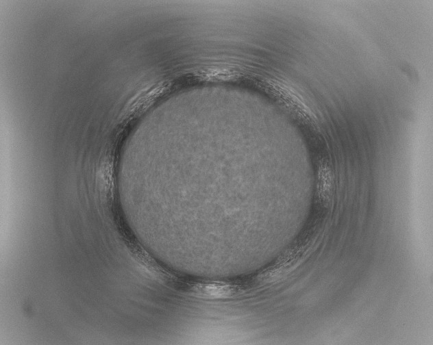 X0000116430506200912221507