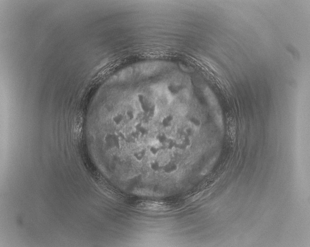 X0000116430507200912221507