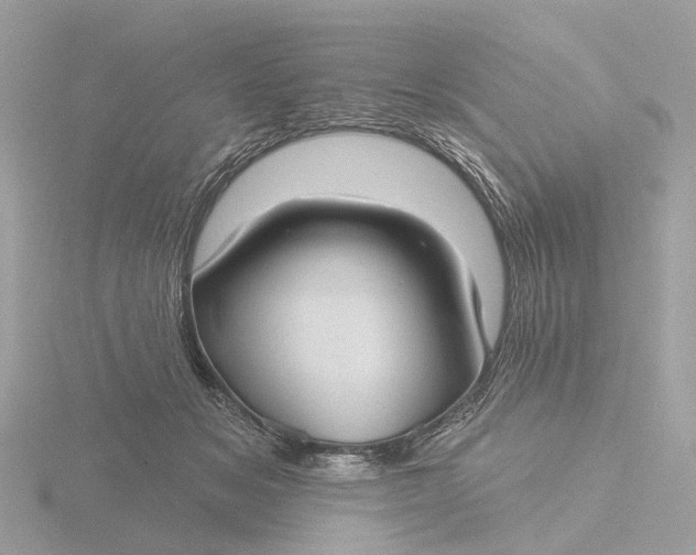 X0000116430509200912221507