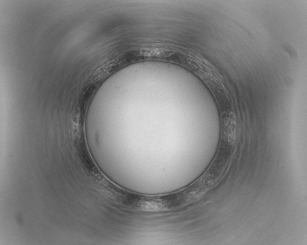 X0000116430510200912221507