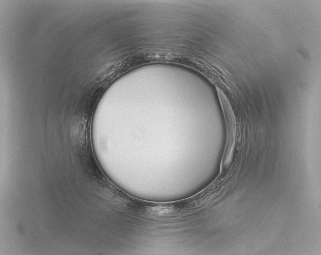 X0000116430511200912221507