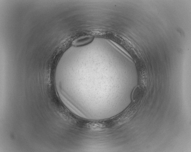 X0000116430512200912221507