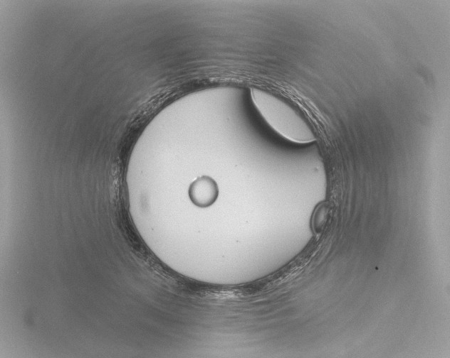 X0000116430513200912221507