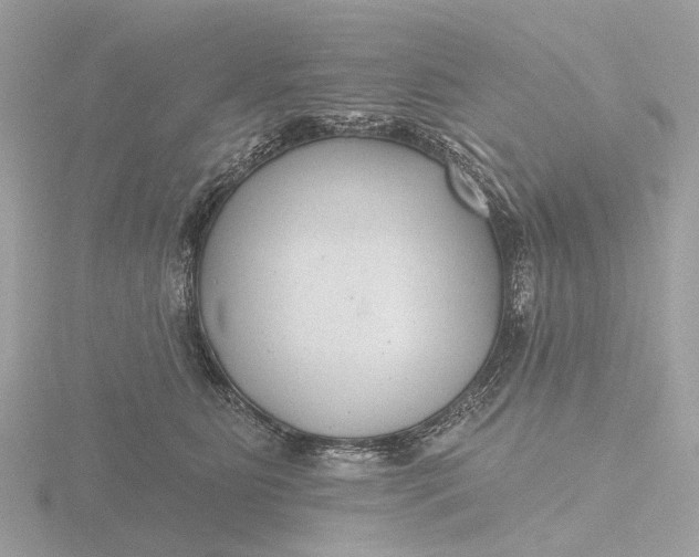 X0000116430515200912221507