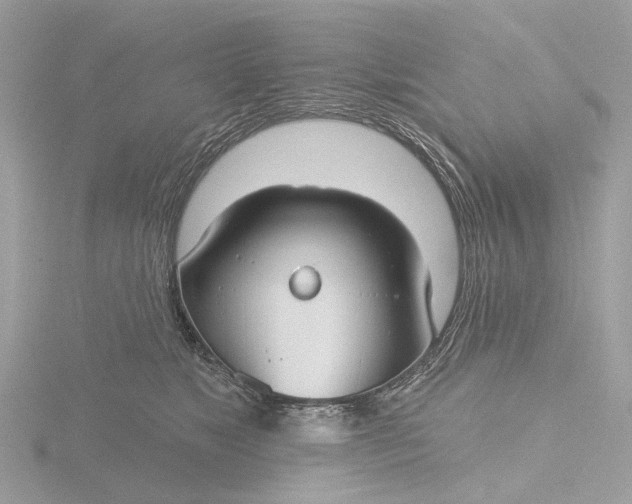 X0000116430517200912221507