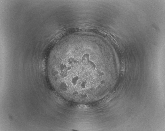 X0000116430519200912221507