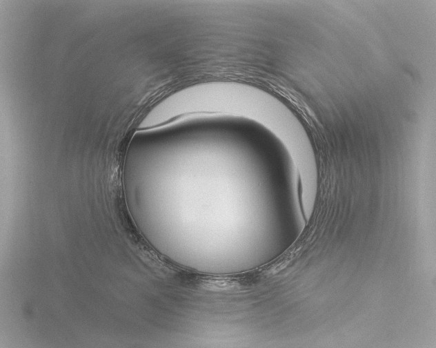 X0000116430521200912221507