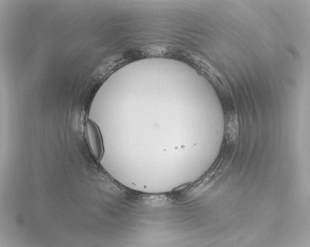 X0000116430525200912221507