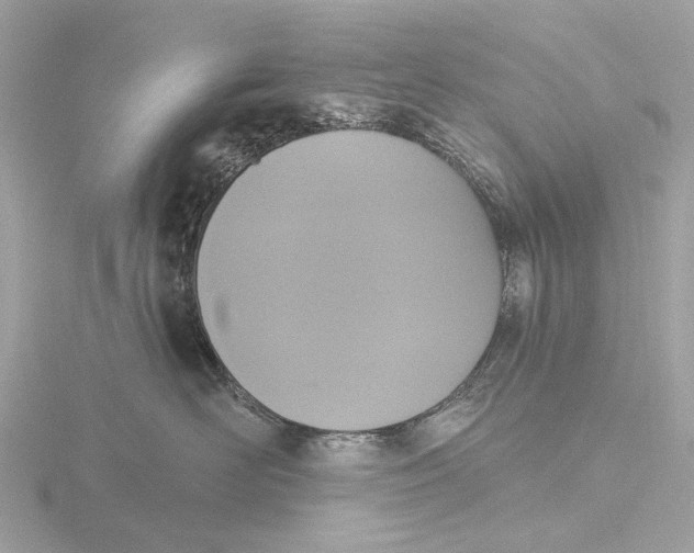 X0000116430526200912221507