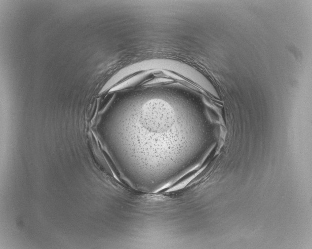 X0000116430528200912221507