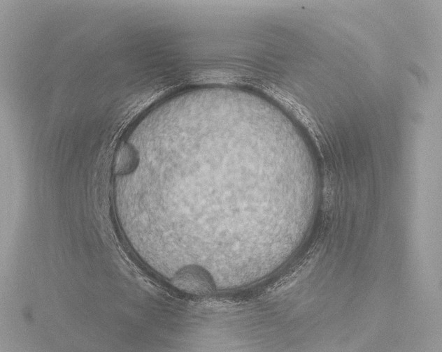 X0000116430529200912221507