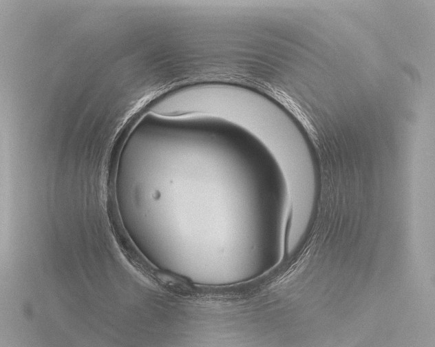 X0000116430530200912221507