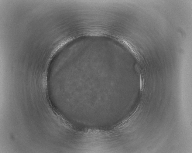 X0000116430531200912221507