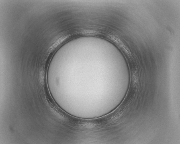 X0000116430533200912221507