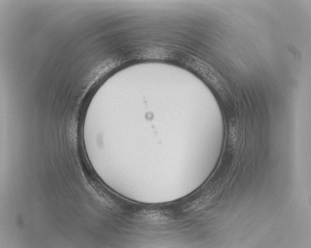 X0000116430534200912221507