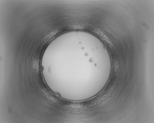 X0000116430537200912221507