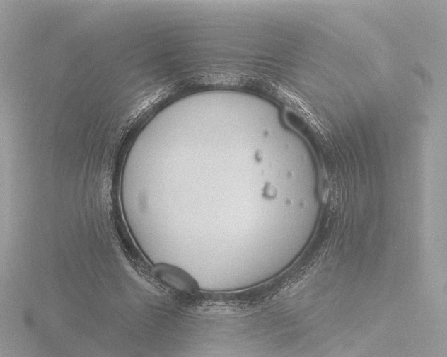 X0000116430538200912221507