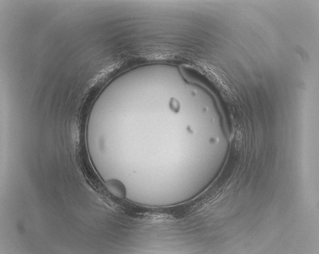 X0000116430539200912221507