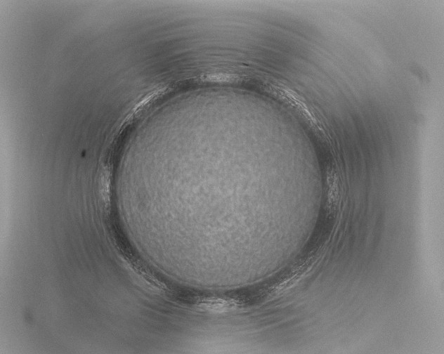 X0000116430542200912221507