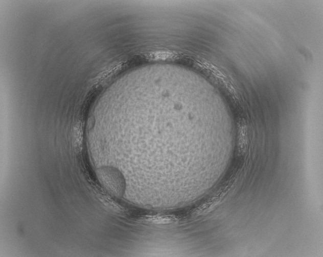 X0000116430545200912221507