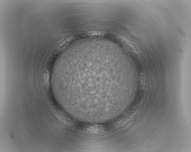 X0000116430550200912221507