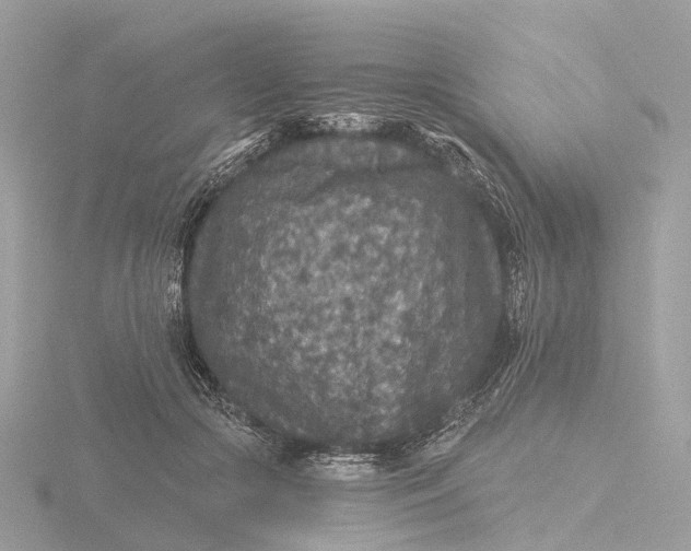 X0000116430553200912221507