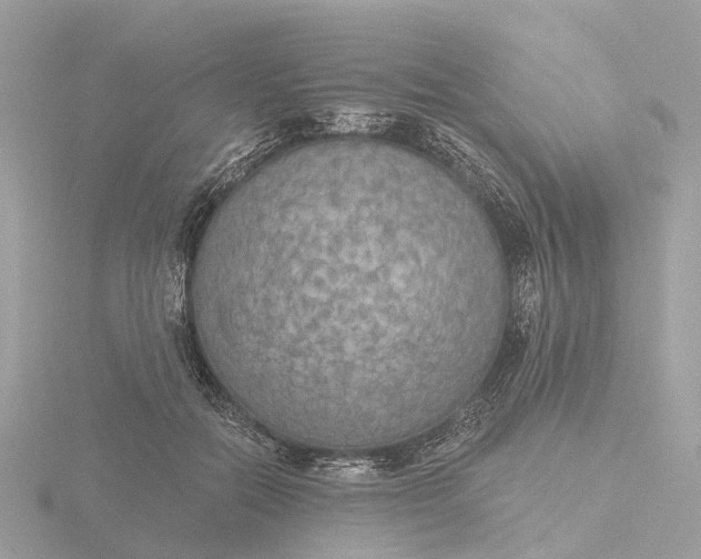 X0000116430554200912221507