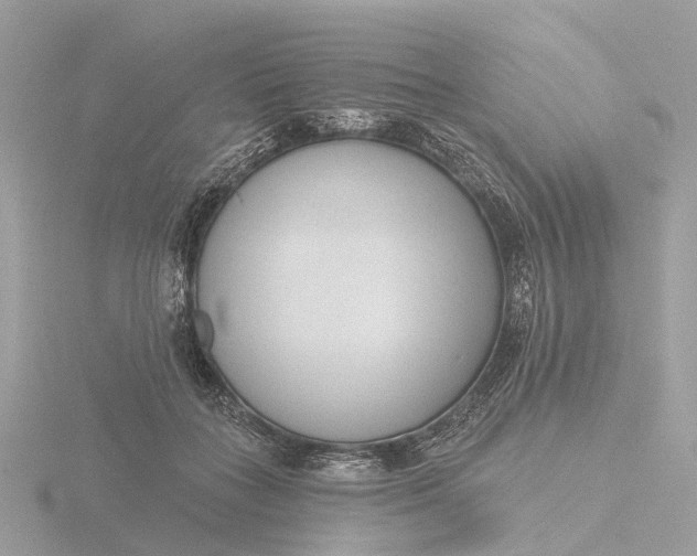 X0000116430555200912221507