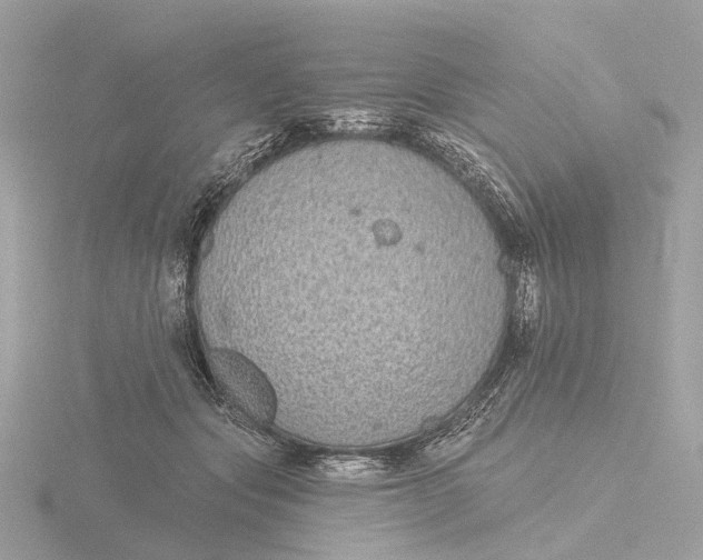 X0000116430557200912221507