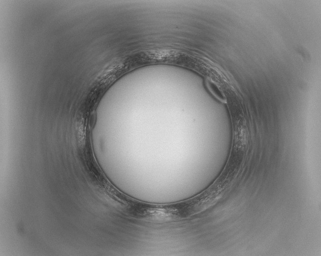 X0000116430558200912221507