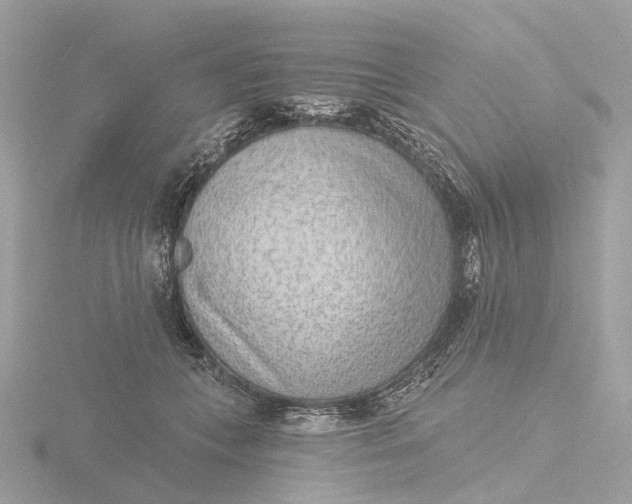 X0000116430559200912221507