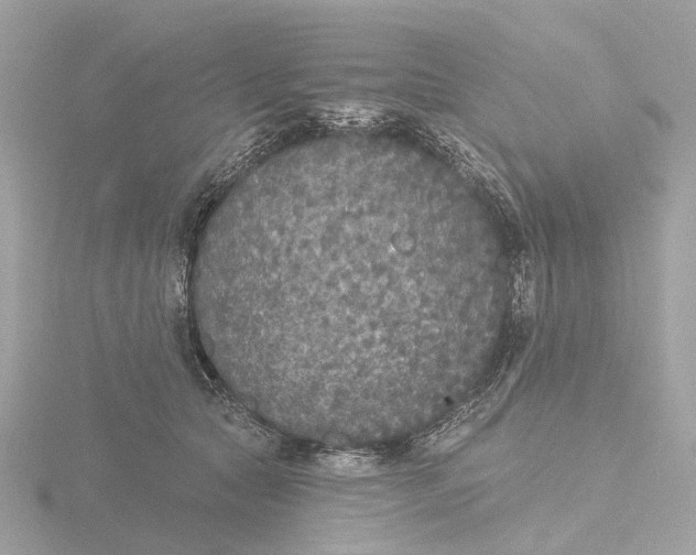 X0000116430561200912221507