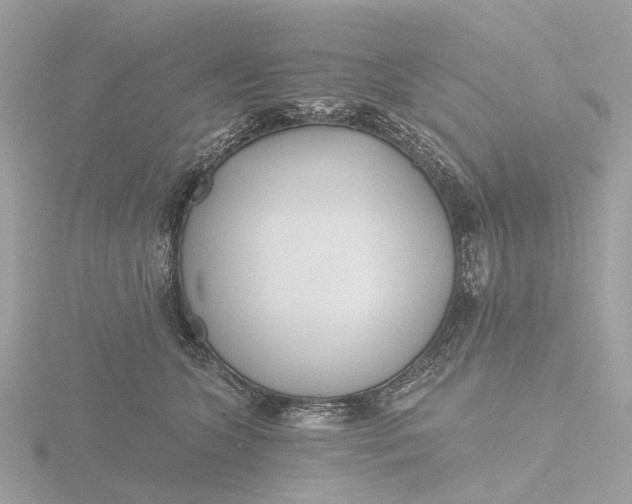 X0000116430563200912221507