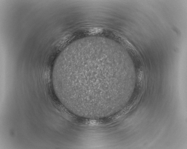 X0000116430565200912221507