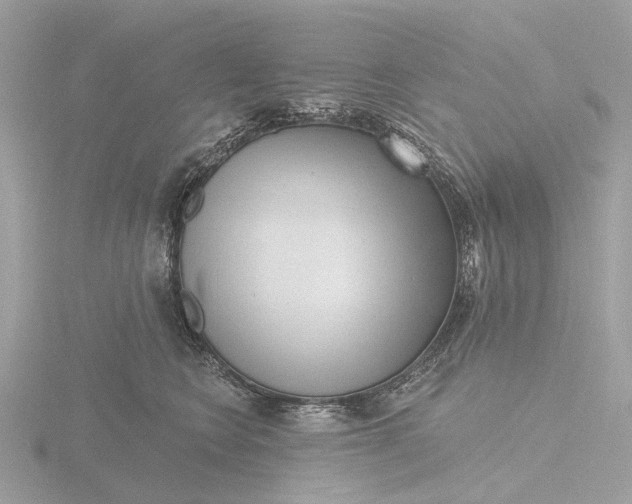 X0000116430566200912221507