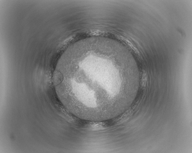 X0000116430569200912221507