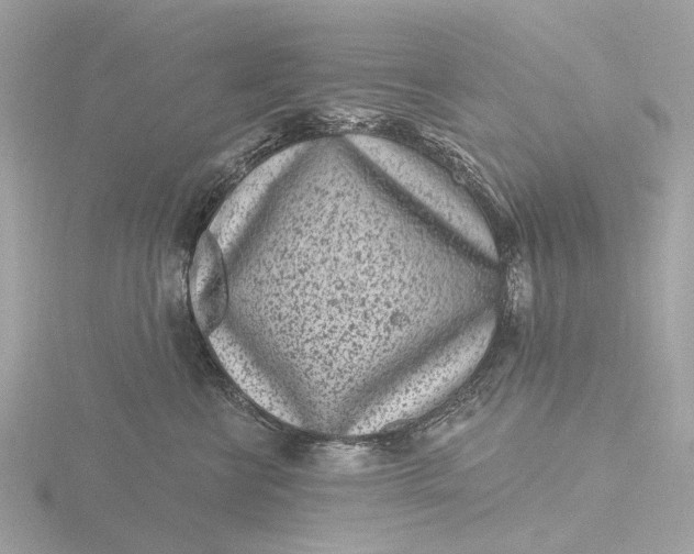 X0000116430570200912221507