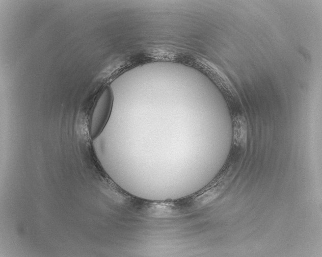 X0000116430573200912221507