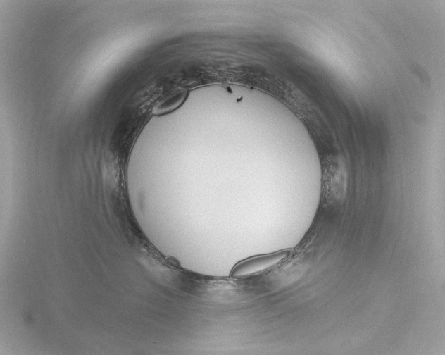 X0000116430574200912221507