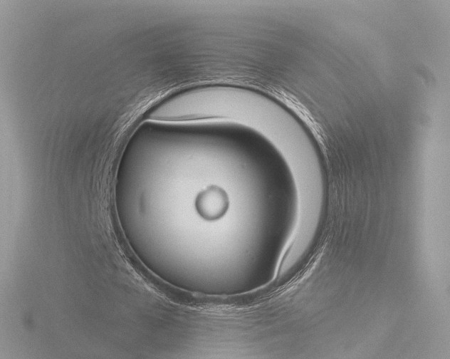 X0000116430577200912221507